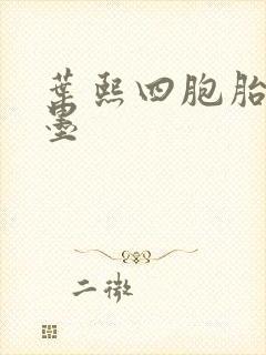 叶熙四胞胎厉子墨