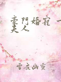 豪门婚宠 一品夫人