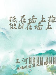 抵在墙上抱起来做bl在墙上