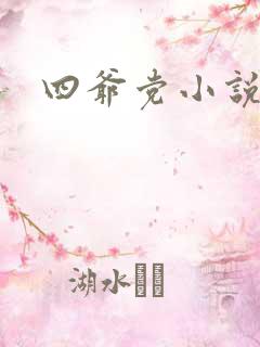 四爷党小说