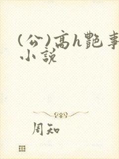 (公)高h艳事小说