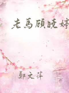 老马顾晓婷小说