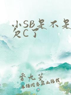 小SB是不是又欠C了