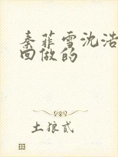 秦菲雪沈浩第几回做的