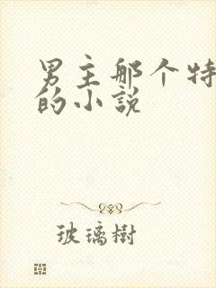男主那个特别大的小说