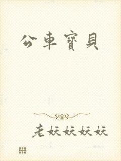 公车宝贝