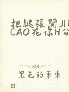 把腿张开JI巴CAO死你H公园