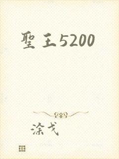圣王5200