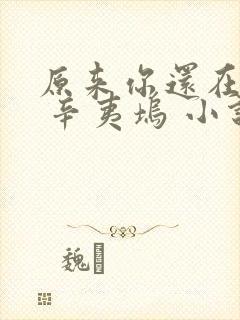 原来你还在这里 辛夷坞 小说