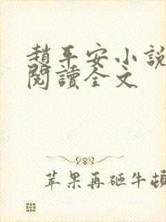 赵平安小说免费阅读全文