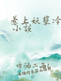 惹上妖孽冷殿下 小说