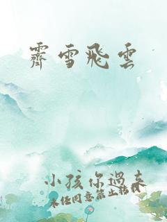 霁雪飞云