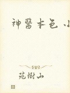 神医本色 小说