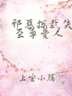 邪恶总裁失心劫 至尊爱人