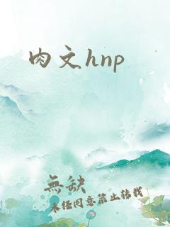 肉文hnp