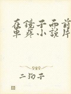 在镜子面前做开车疼小说片段