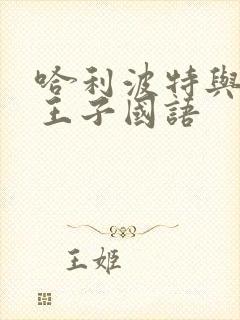 哈利波特与混血王子国语