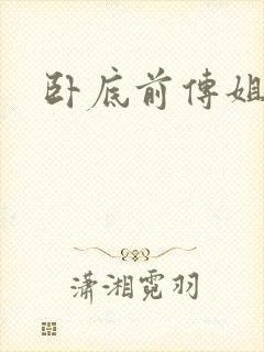 卧底前传姐妹篇