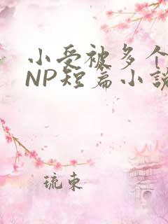 小受被多个攻强NP短篇小说