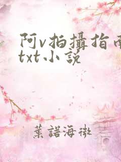 阿v拍摄指南说txt小说