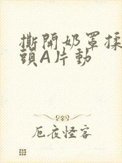 撕开奶罩揉吮奶头A片动