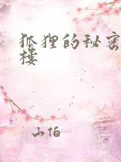 狐狸的秘密19楼