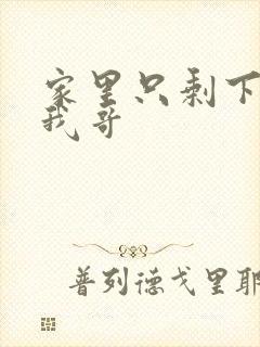 家里只剩下我和我哥