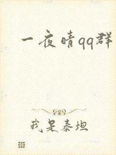 一夜晴qq群