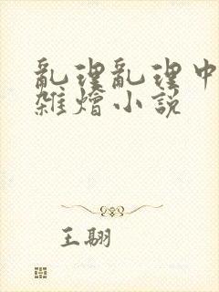 乱理乱理中文大杂烩小说