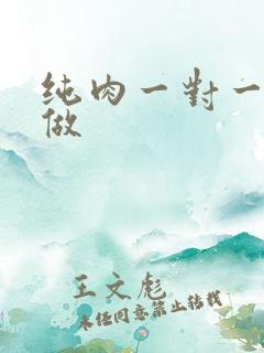 纯肉一对一到处做