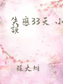 失恋33天 小说