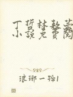 丁哲林敖蕾主角小说免费阅读笔趣