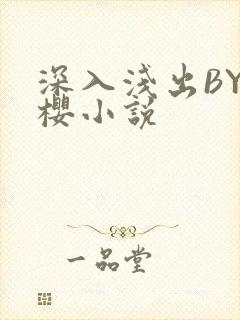 深入浅出BY胖樱小说