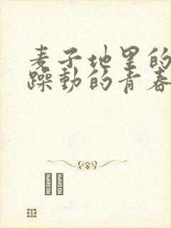 麦子地里的故事躁动的青春小说