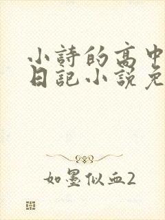 小诗的高中成长日记小说免费阅读