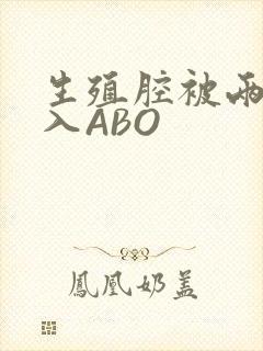 生殖腔被两根进入ABO