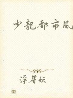 少龙都市风流行