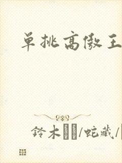 单挑高傲王子