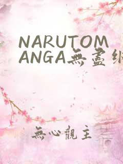 NARUTOMANGA无尽纲手