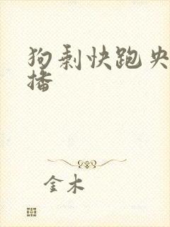 狗剩快跑央八首播