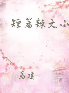 短篇辣文小说
