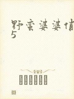 野蛮婆婆俏媳妇5