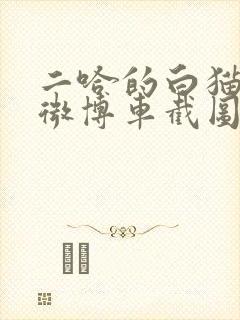 二哈的白猫师尊微博车截图