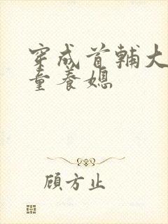 穿成首辅大人的童养媳