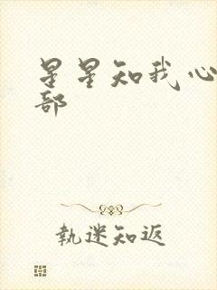 星星知我心第二部