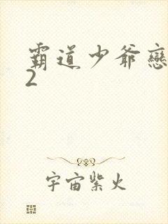 霸道少爷恋上我2