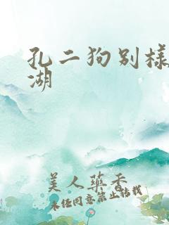 孔二狗别样的江湖