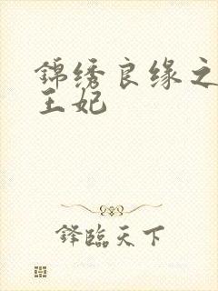 锦绣良缘之北地王妃