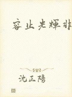 容止光辉非世人