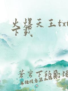 火爆天王txt下载